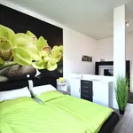 Rent 1 bedroom apartment of 44 m² in Raunheim