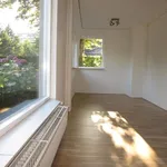 Rent 5 bedroom house of 175 m² in Haarlem