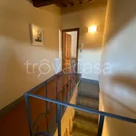 Rent 4 bedroom apartment of 120 m² in Firenze