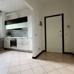 Rent 3 bedroom apartment of 108 m² in Segrate