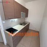 Rent 1 bedroom apartment of 30 m² in Ostrava