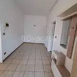 Rent 3 bedroom apartment of 80 m² in Padova