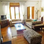 Rent 3 bedroom apartment of 120 m² in Roma