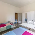 Rent a room in bologna