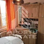 Rent 2 bedroom apartment of 60 m² in Timișoara