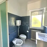 Rent 2 bedroom apartment of 50 m² in Dormelletto