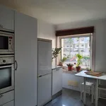 Rent 1 bedroom apartment in Lisbon