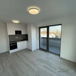 Pronajměte si 2 ložnic/e byt o rozloze 34 m² v Břeclav