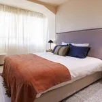 Rent 1 bedroom apartment of 646 m² in Madrid