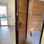 Rent 2 bedroom apartment of 45 m² in Turin