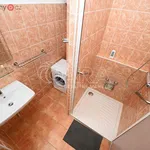 Rent 2 bedroom apartment of 56 m² in Trhový Štěpánov