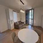 Rent 1 bedroom apartment of 58 m² in Castellanza