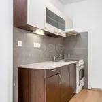 Pronajměte si 2 ložnic/e byt o rozloze 42 m² v Prague