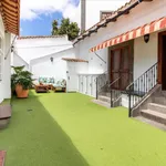 Rent 4 bedroom house of 433 m² in Arucas