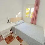 Rent a room in seville