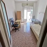 Rent 1 bedroom apartment of 15 m² in Pavia