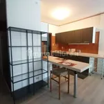 Studio of 60 m² in Padua