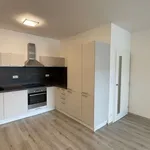 Pronajměte si 2 ložnic/e byt o rozloze 58 m² v Hradec Králové