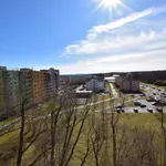 Rent 2 bedroom apartment of 48 m² in České Budějovice