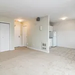 Rent 1 bedroom apartment in Windsor, ON