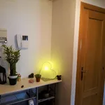 Rent 3 bedroom apartment in Madrid