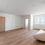 Rent 4 bedroom apartment of 85 m² in Prague