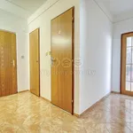 Rent 2 bedroom apartment of 47 m² in Plzeň