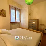 Rent 3 bedroom apartment of 65 m² in Pisa