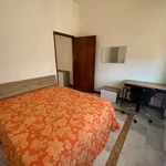 Rent 3 bedroom apartment of 16 m² in perugia