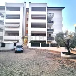 Affitto 3 camera appartamento di 98 m² in Chieti