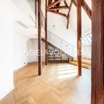 Rent 3 bedroom apartment of 131 m² in Prague