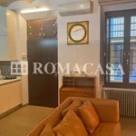 Rent 2 bedroom apartment of 50 m² in Rome