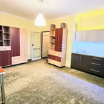 Rent 1 bedroom apartment of 24 m² in Ostrava