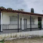 Rent 3 bedroom house of 100 m² in Prespes Municipal Unit