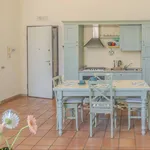 Rent 2 bedroom apartment of 50 m² in Pisa