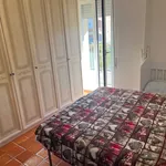 Rent 3 bedroom apartment of 80 m² in Roma