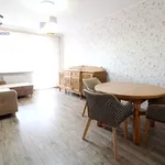 Rent 2 bedroom apartment of 48 m² in Toruń