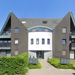  appartement avec 2 chambre(s) en location à Minderhout