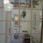 Rent 4 bedroom apartment of 130 m² in Rome