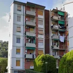 Rent 3 bedroom apartment of 70 m² in La Spezia