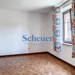 Appartement de 50 m² avec 2 chambre(s) en location à Mutzig