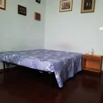 Rent 4 bedroom apartment in Bologna