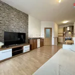 Rent 2 bedroom apartment of 53 m² in Praha