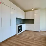 Rent 1 bedroom apartment in Praha