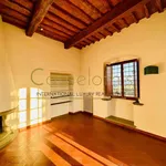 Rent 8 bedroom apartment of 300 m² in Firenze