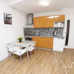 Rent 1 bedroom apartment of 30 m² in Brno