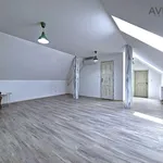 Rent 4 bedroom apartment of 164 m² in Miřetice