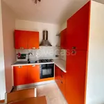 Rent 1 bedroom apartment of 30 m² in Perugia