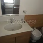 Rent 3 bedroom apartment of 110 m² in Bologna