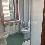 Rent 2 bedroom apartment of 50 m² in Perugia